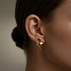 Golden Spiral Earrings